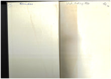 Load image into Gallery viewer, The Tigers of Trengganu I A. Locke I Secondhand Book