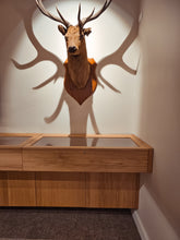 Load image into Gallery viewer, T. E. Donne "Acclimatization" Display Case | $5,000 Donation | Hunting & Shooting Museum Display Cabinet