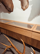 Load image into Gallery viewer, Fallow Deer Display Case | $5,000 Donation | NZ Hunting and Shooting Museum Display Cabinet