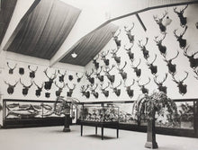 Load image into Gallery viewer, T. E. Donne "Acclimatization" Display Case | $5,000 Donation | Hunting & Shooting Museum Display Cabinet