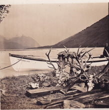 Load image into Gallery viewer, Otago Herd Display Case | $5,000 Donation | Hunting and Shooting Museum Display Cabinet