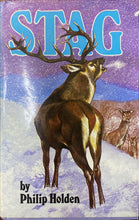 Load image into Gallery viewer, Stag | Philip Holden