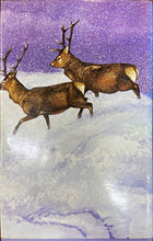 Load image into Gallery viewer, Stag | Philip Holden