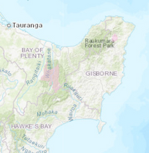 Load image into Gallery viewer, Rusa Display Case | $5,000 Donation | NZ Hunting and Shooting Museum Display Cabinet