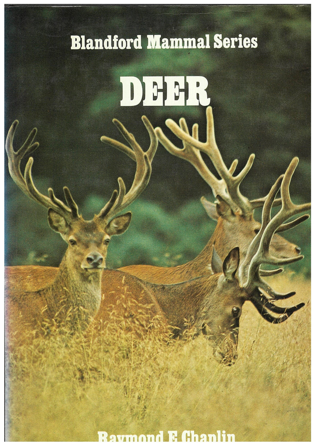 Blandford Mammal Series DEER I Raymond E Chaplin I Secondhand Book – NZ ...