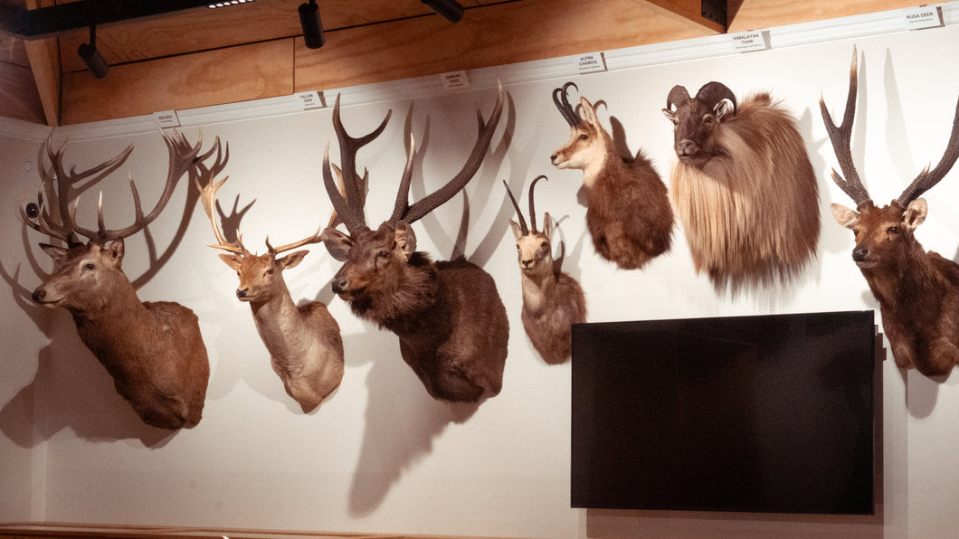 AV Display Screen | Game Animals Area | $2,000 Donation | NZ Hunting and Shooting Museum