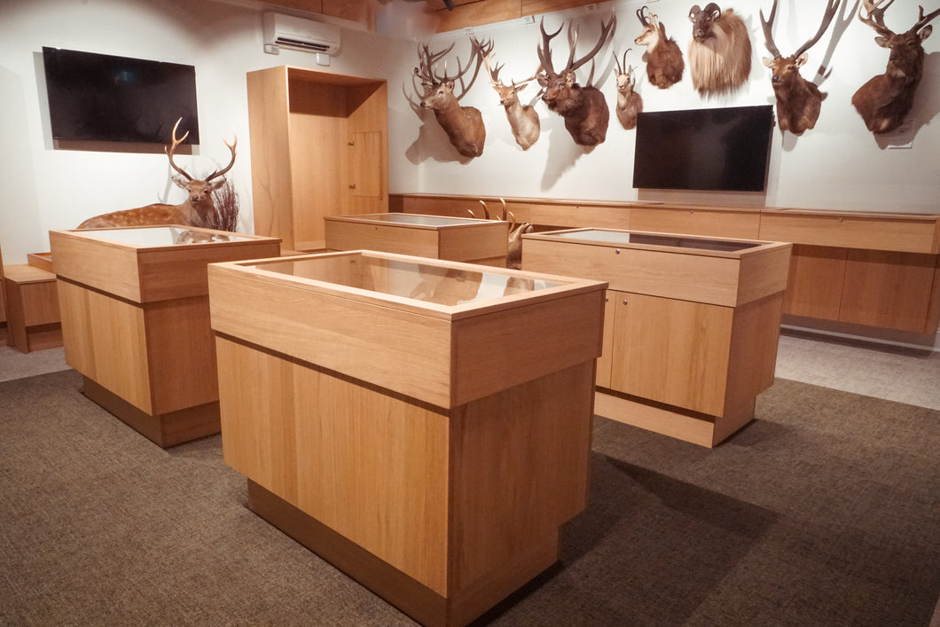Red Deer Display Case | $5,000 Donation | NZ Hunting and Shooting Museum Display Cabinet