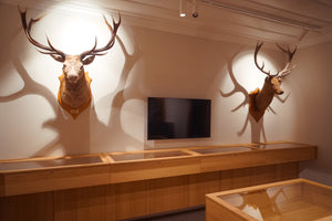 Rakaia Herd/Early Years Display Case | $5,000 Donation | Hunting & Shooting Museum Display Cabinet