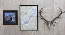 Load image into Gallery viewer, Wild Deer Herds of the South Island Poster
