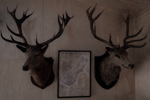 Load image into Gallery viewer, Wild Deer Herds of the South Island Poster
