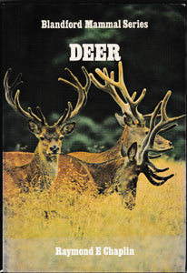 Deer | Raymond Caplin