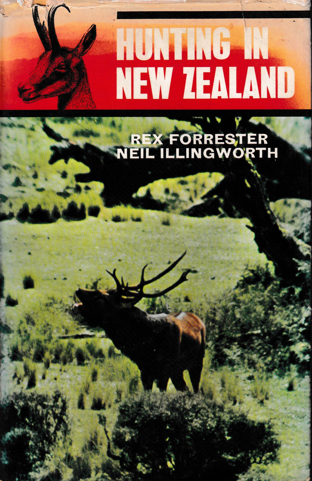 Hunting In New Zealand | Rex Forrester & Neil Illingworth