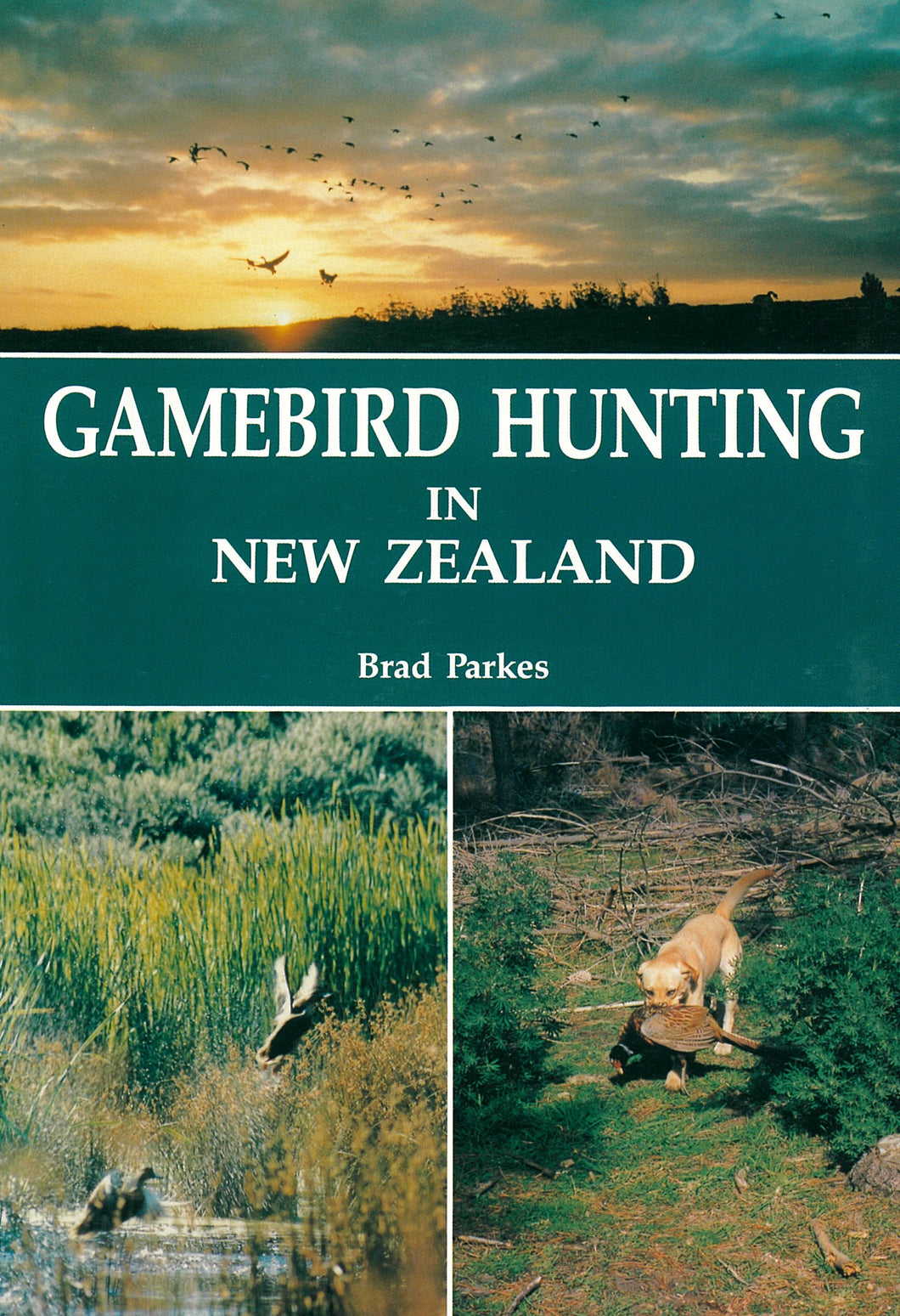 Gamebird Hunting in New Zealand | Brad Parkes