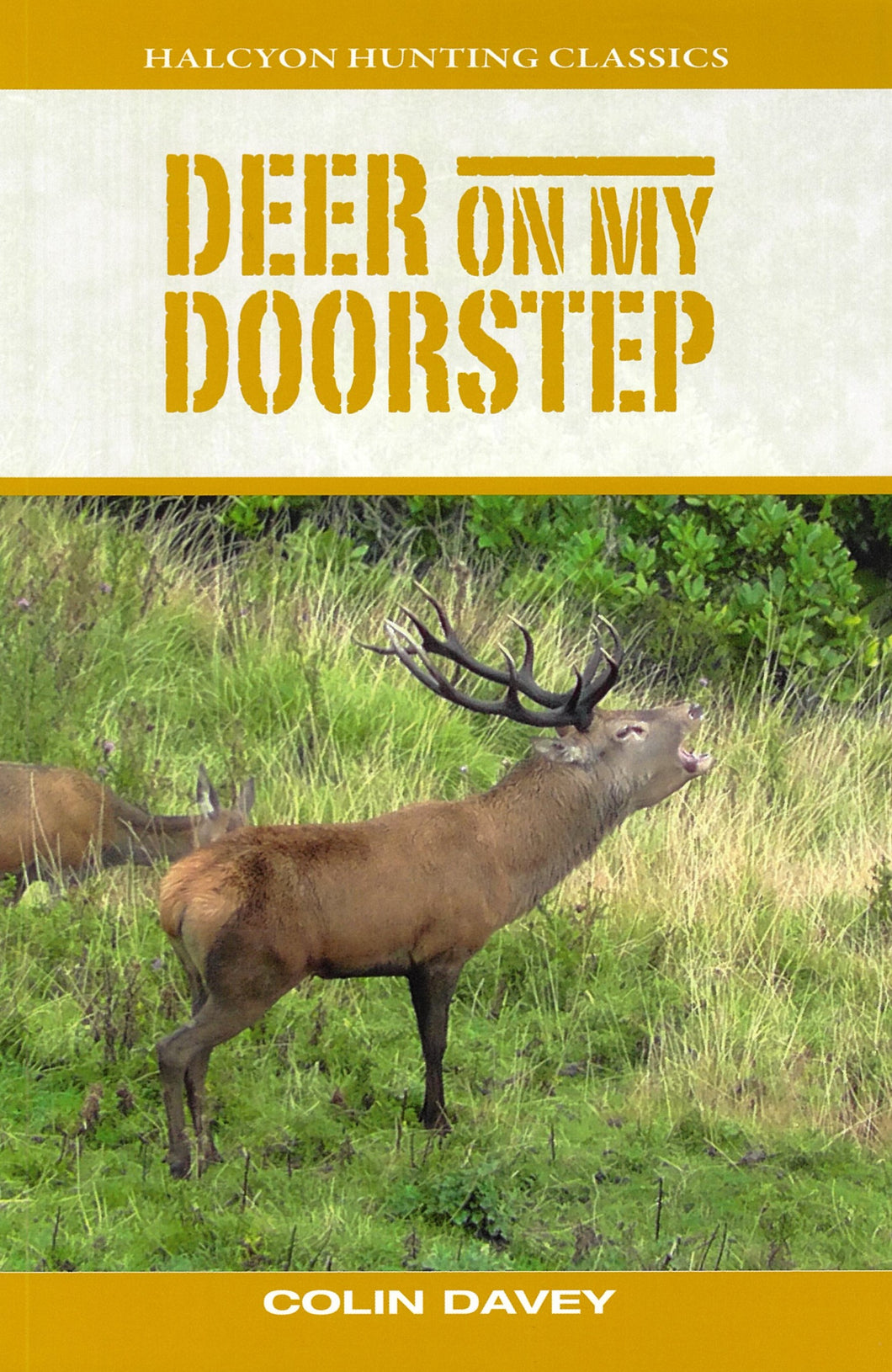 Deer on my Doorstep | Colin Davey