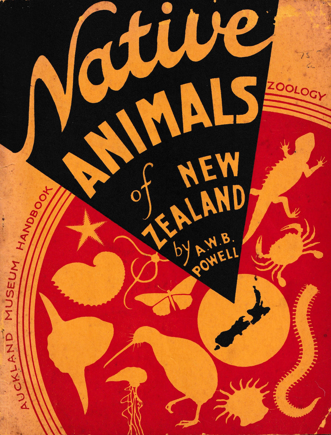 Native Animals Of New Zealand | A.W.B. Powell